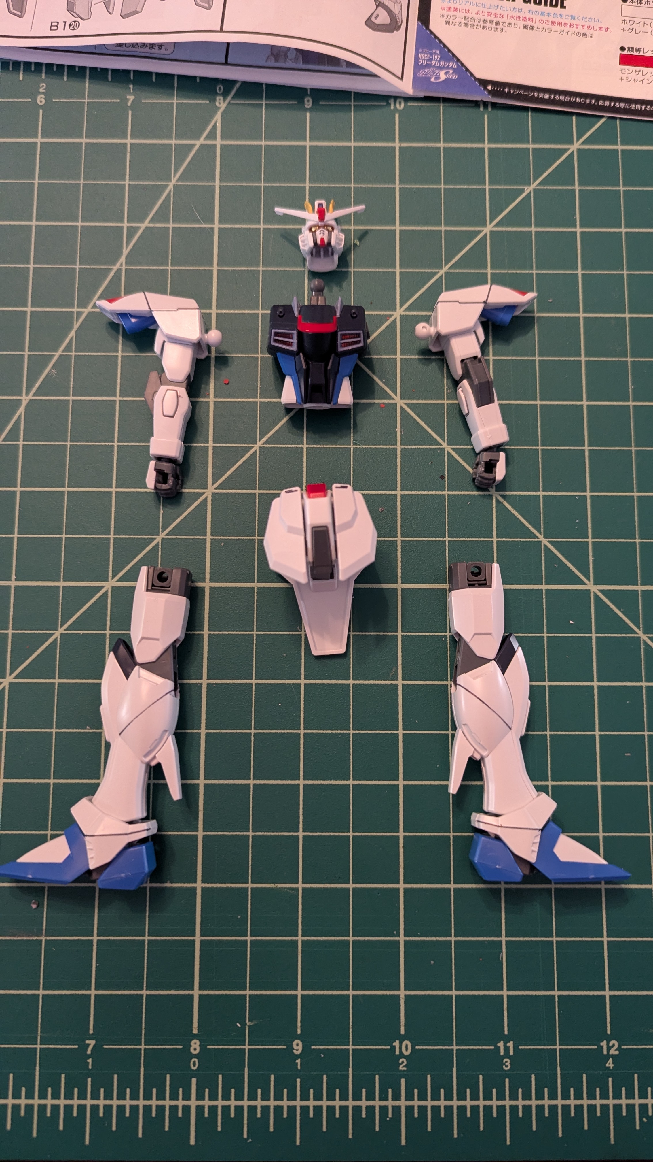 The Freedom Gundam ready to be assembled.